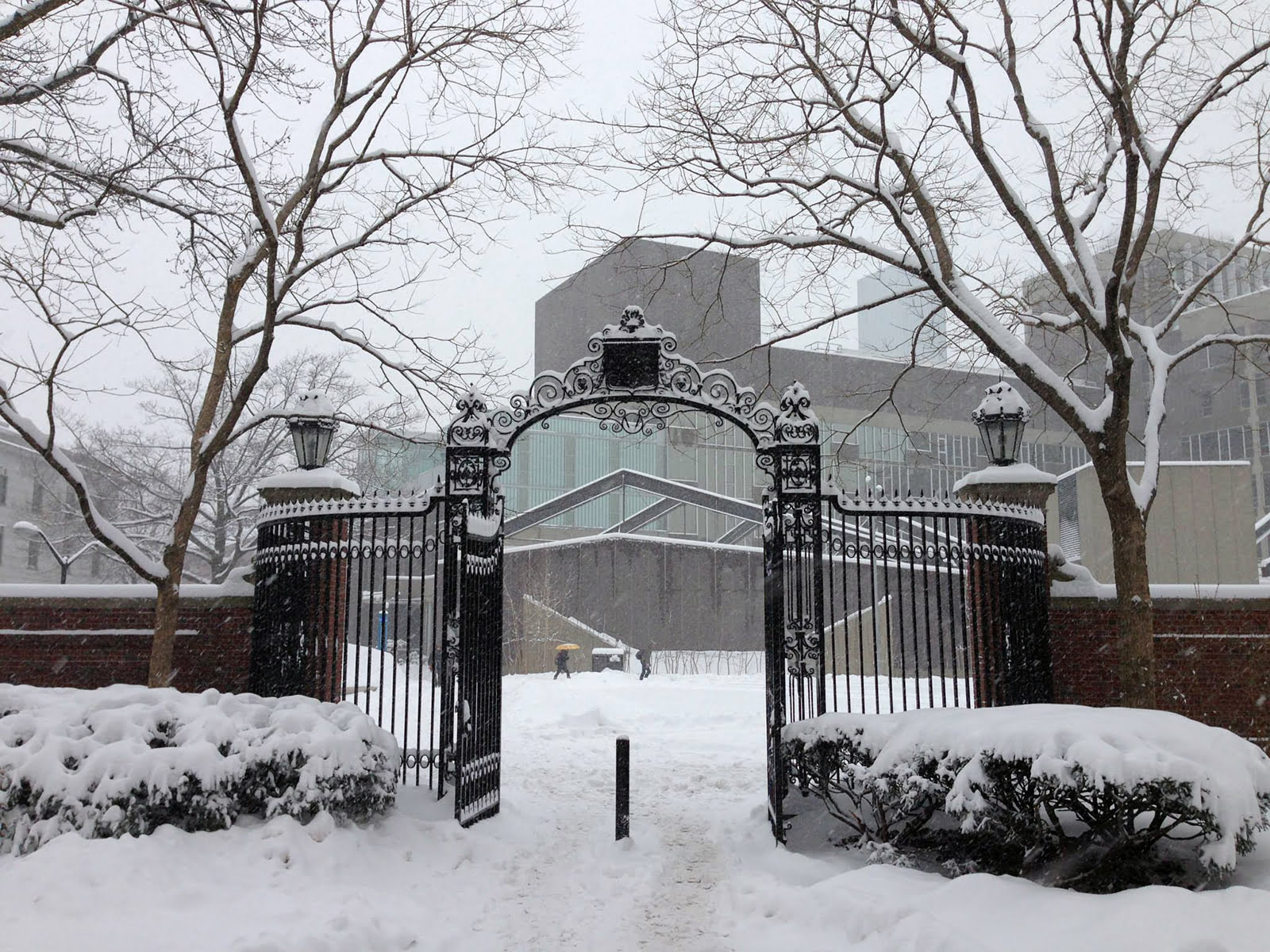 Paper and performance at Harvard