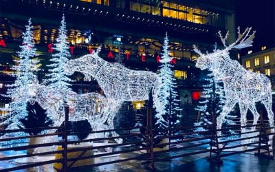 Nozipho Hlungwani gets a second chance and goes to Stockholm (3/3)