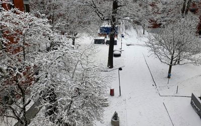 Nozipho Hlungwani gets a second chance and goes to Stockholm (1/3)